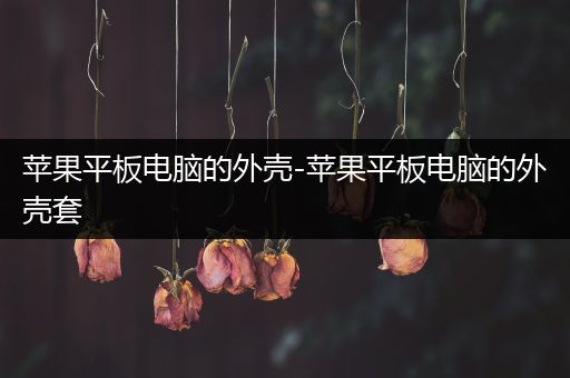 苹果平板电脑的外壳-苹果平板电脑的外壳套