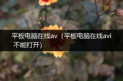 平板电脑在线av（平板电脑在线avi 不能打开）