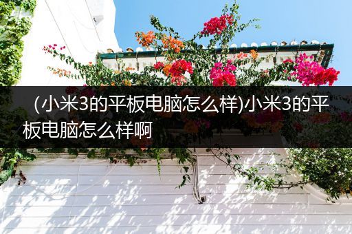（小米3的平板电脑怎么样)小米3的平板电脑怎么样啊