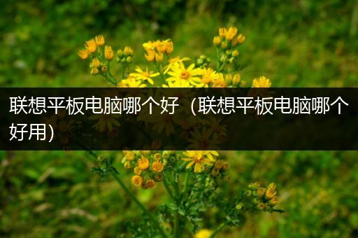 联想平板电脑哪个好（联想平板电脑哪个好用）