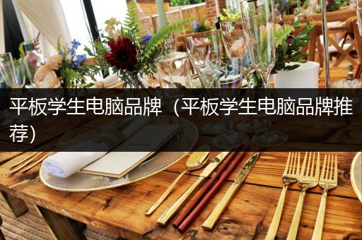 平板学生电脑品牌（平板学生电脑品牌推荐）