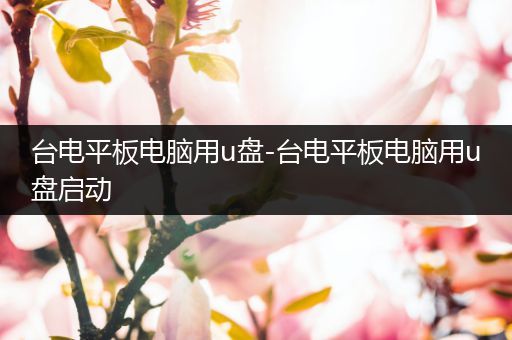 台电平板电脑用u盘-台电平板电脑用u盘启动