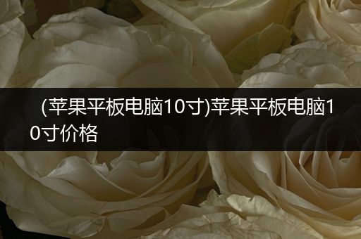 （苹果平板电脑10寸)苹果平板电脑10寸价格