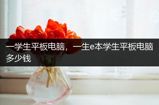 一学生平板电脑，一生e本学生平板电脑多少钱