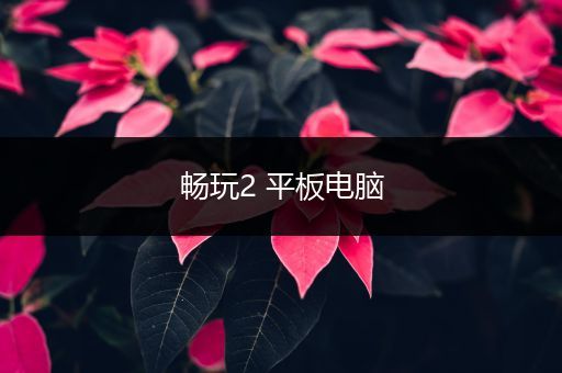 畅玩2 平板电脑