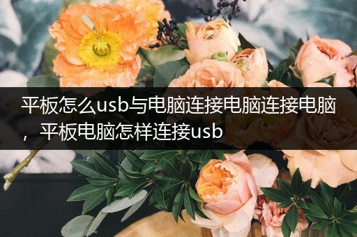 平板怎么usb与电脑连接电脑连接电脑，平板电脑怎样连接usb