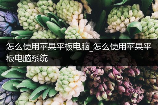 怎么使用苹果平板电脑_怎么使用苹果平板电脑系统