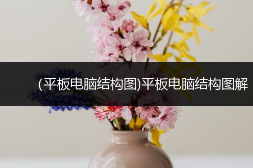 （平板电脑结构图)平板电脑结构图解