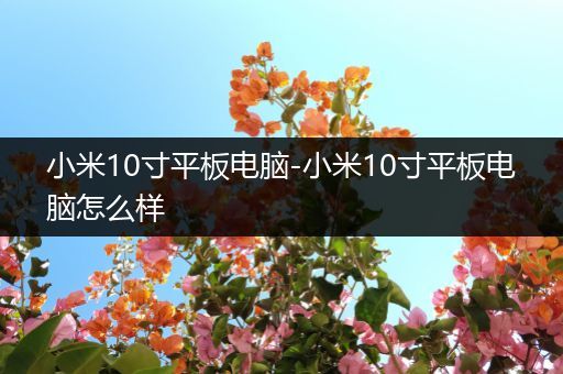 小米10寸平板电脑-小米10寸平板电脑怎么样