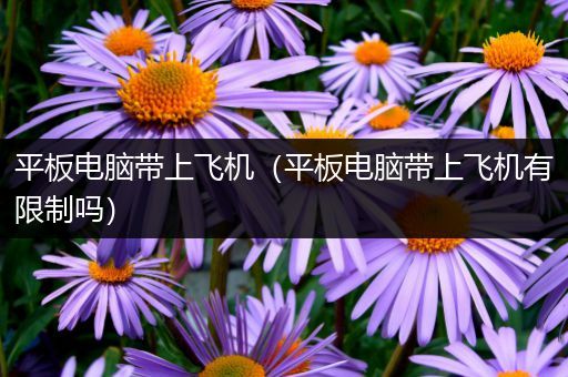 平板电脑带上飞机（平板电脑带上飞机有限制吗）