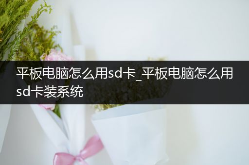 平板电脑怎么用sd卡_平板电脑怎么用sd卡装系统