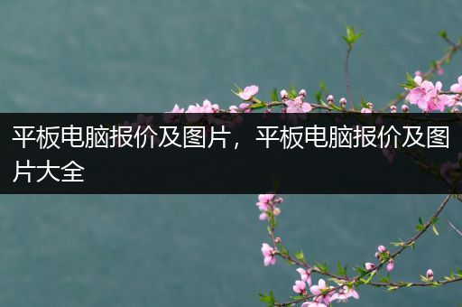 平板电脑报价及图片，平板电脑报价及图片大全