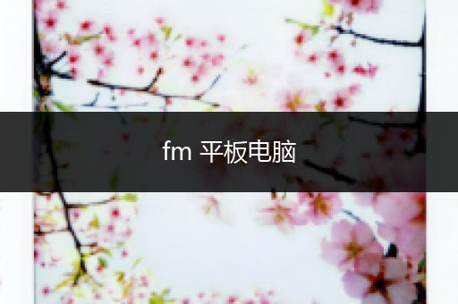 fm 平板电脑