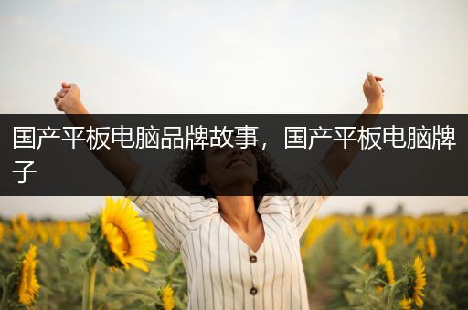 国产平板电脑品牌故事，国产平板电脑牌子