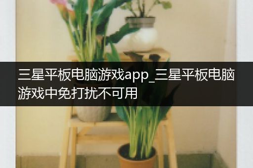 三星平板电脑游戏app_三星平板电脑游戏中免打扰不可用