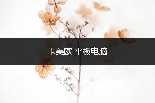 卡美欧 平板电脑