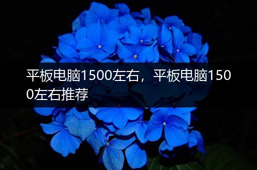 平板电脑1500左右，平板电脑1500左右推荐