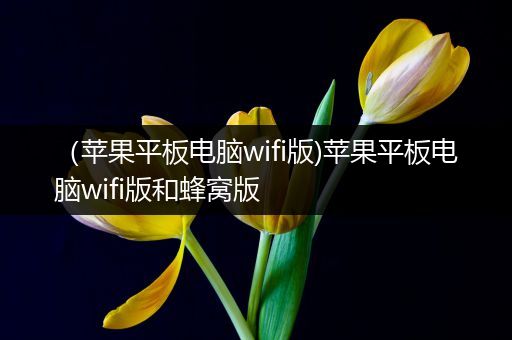 （苹果平板电脑wifi版)苹果平板电脑wifi版和蜂窝版