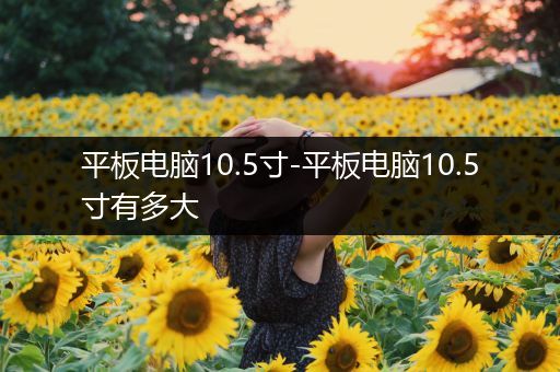 平板电脑10.5寸-平板电脑10.5寸有多大