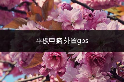 平板电脑 外置gps