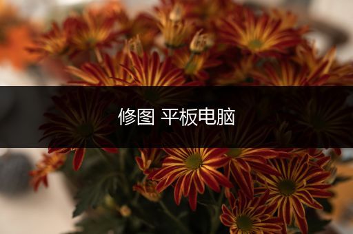 修图 平板电脑