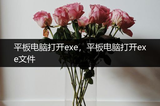 平板电脑打开exe，平板电脑打开exe文件