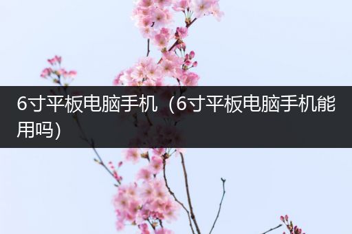 6寸平板电脑手机（6寸平板电脑手机能用吗）