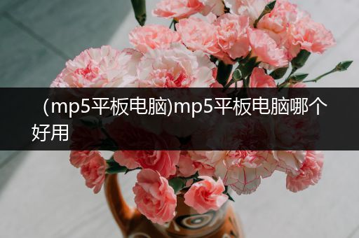 （mp5平板电脑)mp5平板电脑哪个好用