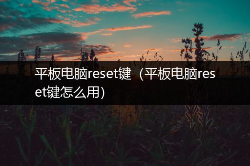 平板电脑reset键（平板电脑reset键怎么用）