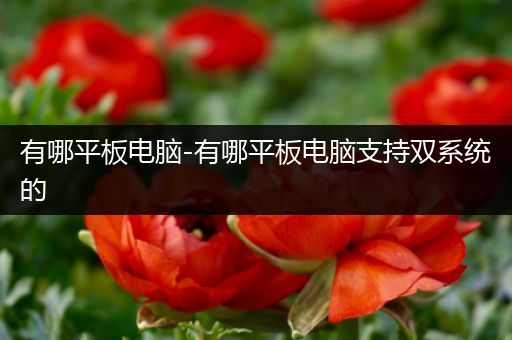 有哪平板电脑-有哪平板电脑支持双系统的