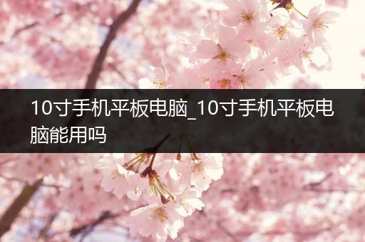 10寸手机平板电脑_10寸手机平板电脑能用吗