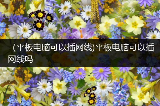 （平板电脑可以插网线)平板电脑可以插网线吗