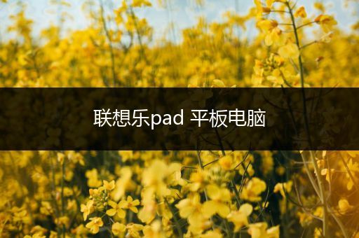 联想乐pad 平板电脑