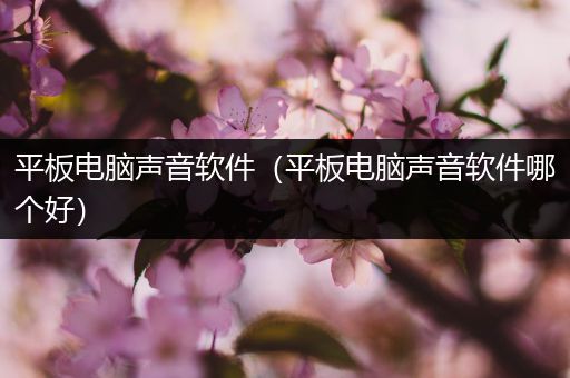 平板电脑声音软件（平板电脑声音软件哪个好）