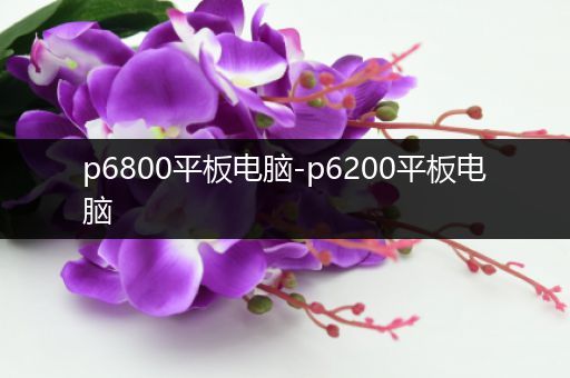 p6800平板电脑-p6200平板电脑