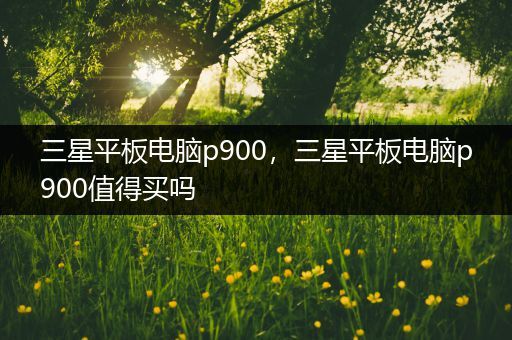 三星平板电脑p900，三星平板电脑p900值得买吗