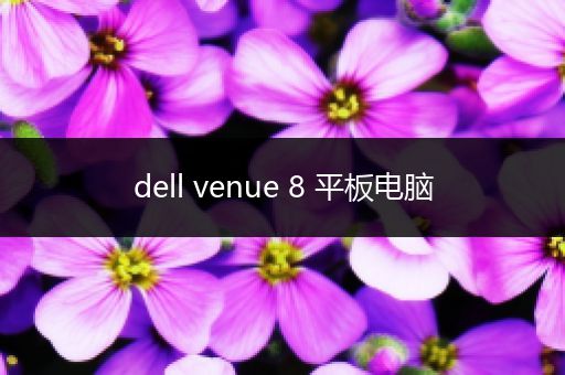 dell venue 8 平板电脑