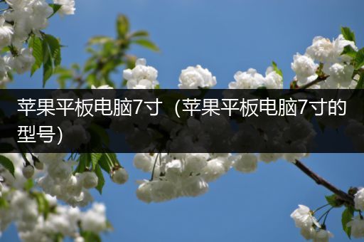 苹果平板电脑7寸（苹果平板电脑7寸的型号）