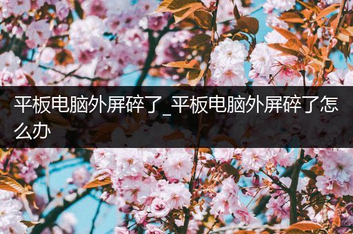 平板电脑外屏碎了_平板电脑外屏碎了怎么办