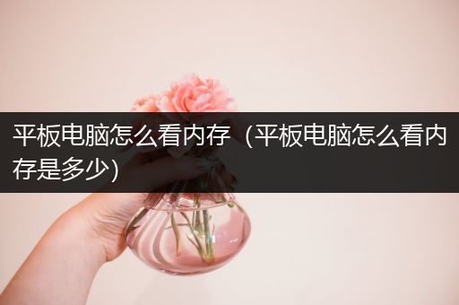 平板电脑怎么看内存（平板电脑怎么看内存是多少）