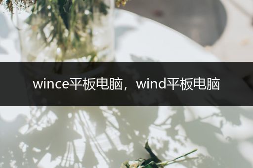 wince平板电脑，wind平板电脑