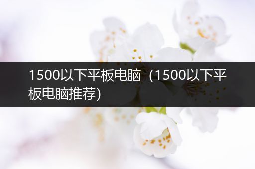 1500以下平板电脑（1500以下平板电脑推荐）