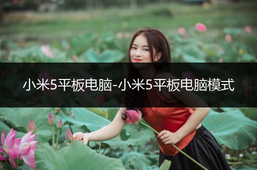小米5平板电脑-小米5平板电脑模式