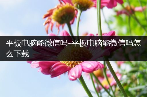 平板电脑能微信吗-平板电脑能微信吗怎么下载