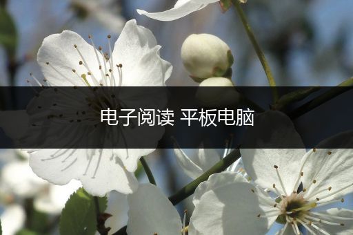 电子阅读 平板电脑