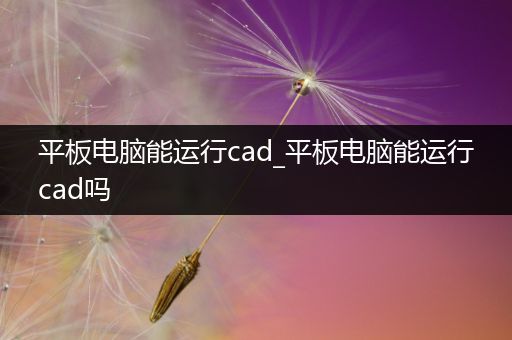 平板电脑能运行cad_平板电脑能运行cad吗