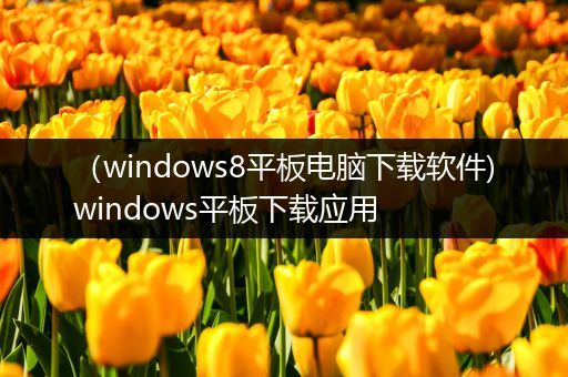 （windows8平板电脑下载软件)windows平板下载应用
