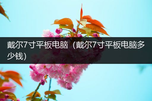 戴尔7寸平板电脑（戴尔7寸平板电脑多少钱）