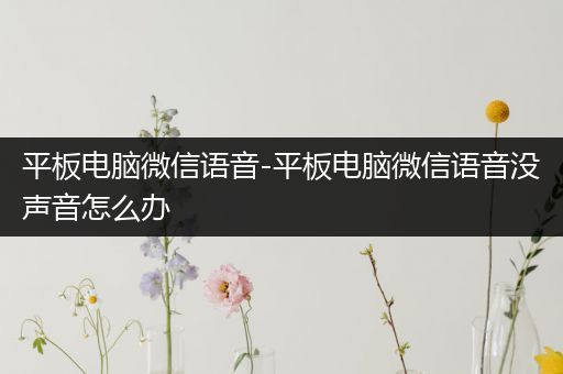 平板电脑微信语音-平板电脑微信语音没声音怎么办