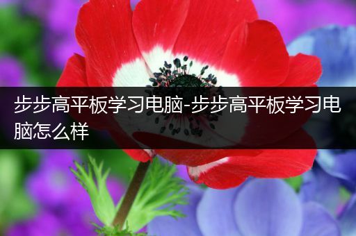 步步高平板学习电脑-步步高平板学习电脑怎么样